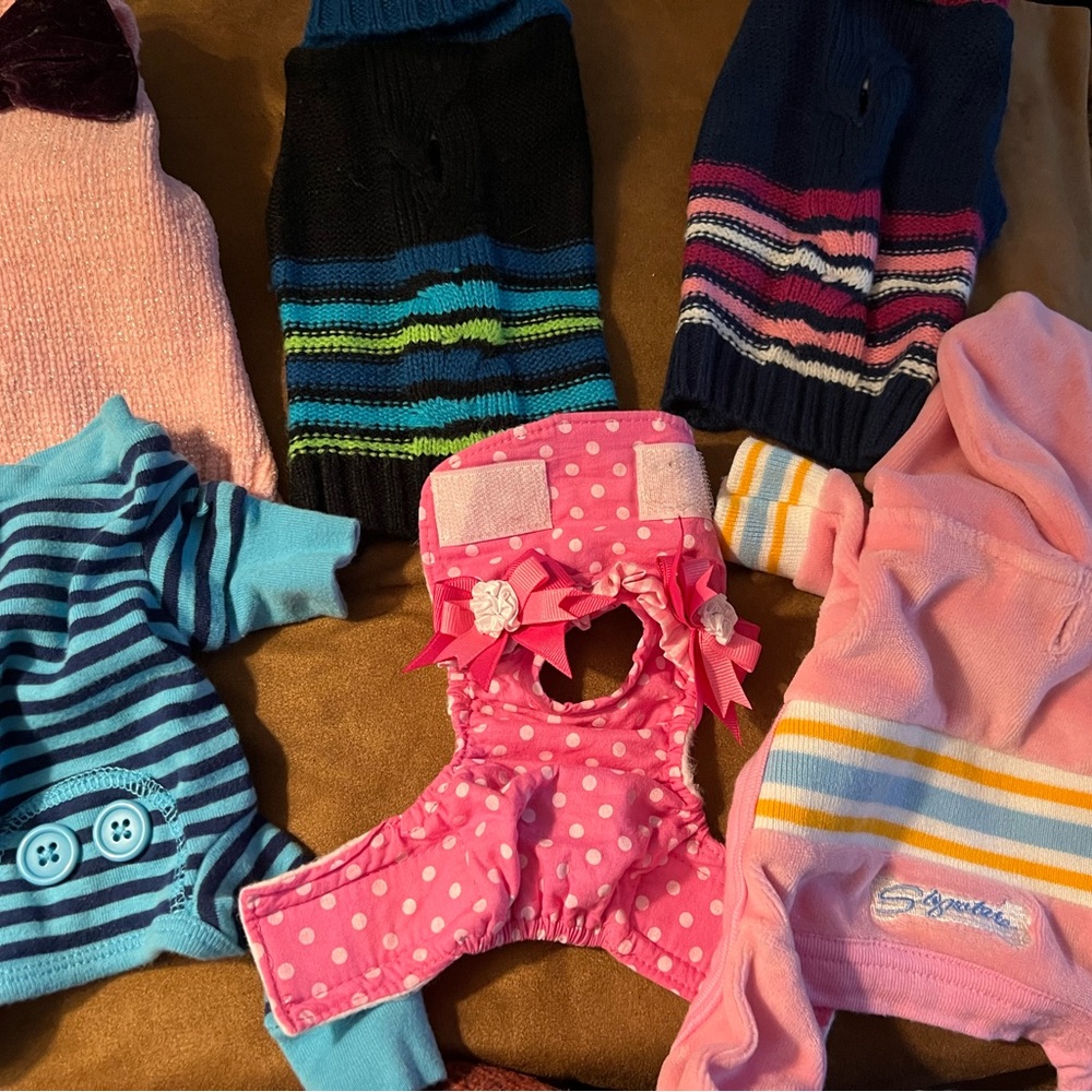 Bundle of Dog XXS SLEEPERS, sweaters and diaper cover